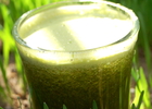 Zeleni sok za početnike