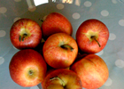 jabuke u zdjeli 2